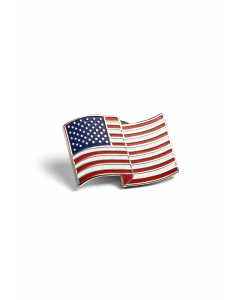 American Flag pin