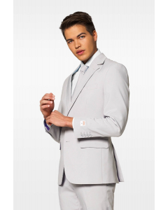 Solid color light grey men's suit Groovy Grey worn by men